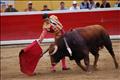 Jose Antonio Pinto (12)